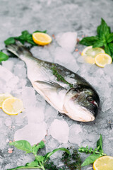 Fresh dorado fish lies on ice
