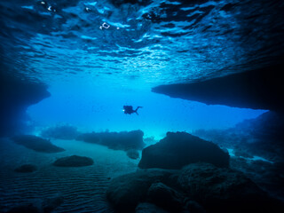 Seascape of coral reef in the Caribbean Sea / Curacao with Diver in cave 
