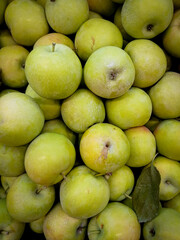 fresh green apples