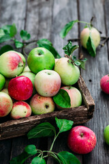 Ripe apples in a wooden box
