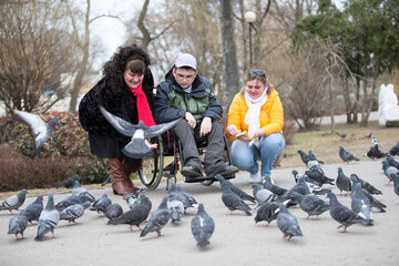 Fototapeta na wymiar A man in a wheelchair with his family is feeding pigeons
