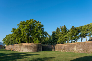 Grass in front of the fortress wall in Lucca.