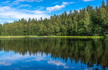 Obraz na płótnie Canvas Forest lake with reflections in the water. Rows of trees grow on the banks of the lake and the blue sky is reflected on the surface of the water. Calm peaceful meditative tranquil landscape.