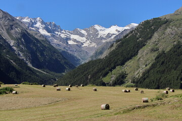 Fototapeta na wymiar Views of the majestic mountains in the Cogne valley. 