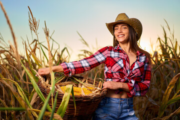 Young farmer woman harvesting corn