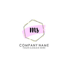 MS Initial handwriting logo template vector