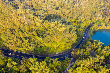 road with forest in Sun Moon Lake
