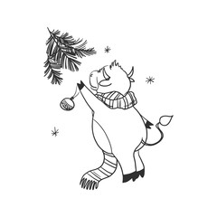 Fototapeta premium The Christmas bull decorates the tree with toys. The cow is the mascot of 2021. Doodle style. Funny character. New Year vector drawing on a white background. For postcards, calendar, invitations