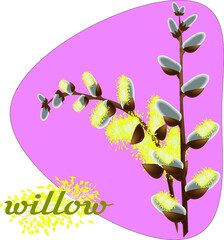 sprigs of willow on a pink background