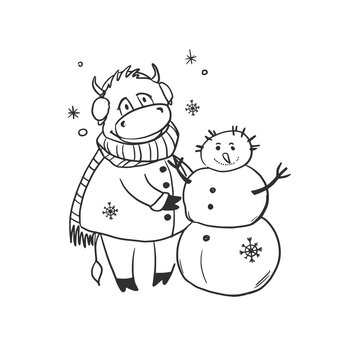 Christmas bull sculpts a snowman. The cow is the mascot of 2021. Doodle style. Funny character. New Year vector drawing on a white background. For postcards, calendar, invitations