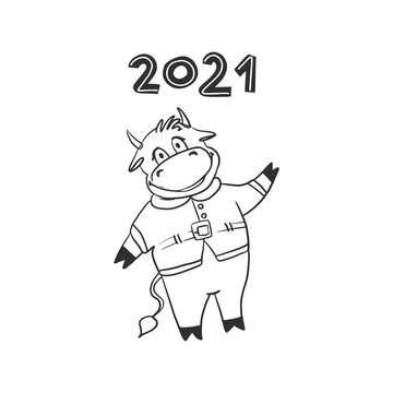 A Christmas bull stands on its hind legs in a Santa costume. The cow is the mascot of 2021. Doodle style. Funny character. New Year vector drawing on a white background. For postcards, calendar.