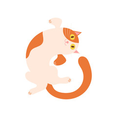 Playful smiling cartoon cat, isolated on white background. Joyful pet, top view. Vector cartoon illustration.