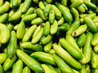 fresh green scarlet gourd on market 