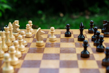 Chess duel in the garden.