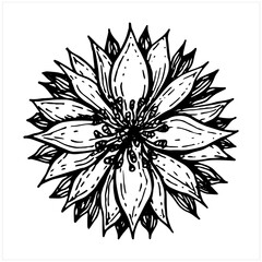 Flower, black and white illustration