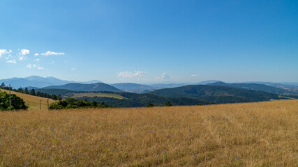 Fototapeta premium Vista da monte Murano nelle Marche