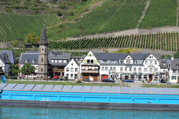 Blick über den Fluss auf Hatzenport an der Mosel