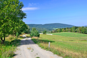 Summer landscape with grassy green field, dirt road and blue sky.