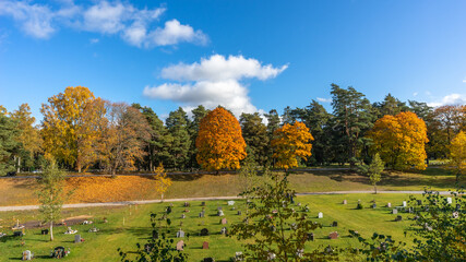 Plakat Old forest cemetery in autumn with graves tombstones and crosses. Sunny autumn day .Panorama of autumn trees of bright yellow orange gold color. Fall season background. Rows of beautiful trees. 