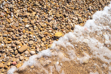 Waves rolling on the beach. Gravel pebbles cobbles. Sea sand on the beach close up. Natural pattern. Yellow brown colour. Space for text. Colorful surface of the beach with clear sea water. Waves. 