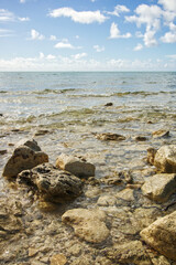 Fototapeta na wymiar Rocky Beach View into the Ocean on Grand Bahama Island Bahamas