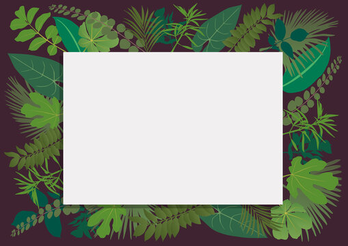 Cartouche vierge de couleur blanche, entour&eacute; de diff&eacute;rents types de feuilles, pour servir d&rsquo;arri&egrave;re-plan &agrave; une pr&eacute;sentation sur le th&egrave;me de l&rsquo;environnement.