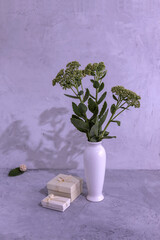 two gift boxes and a bouquet of succulents in a white vase on a gray background