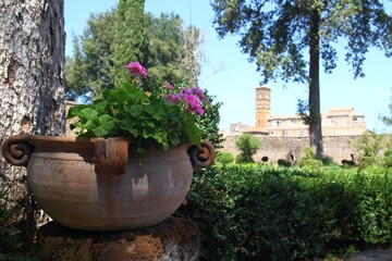 Panorama of the medieval village of Sutri (Lazio Italy) from the garden of villa Savorelli.