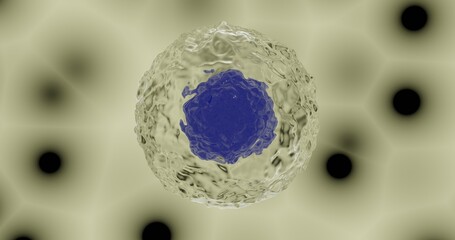 Nucleated cell in 3d illustration