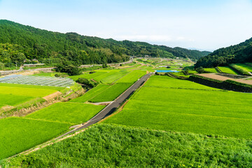 長崎県雲仙市　さんめんわら展望所からの眺望　夏の棚田