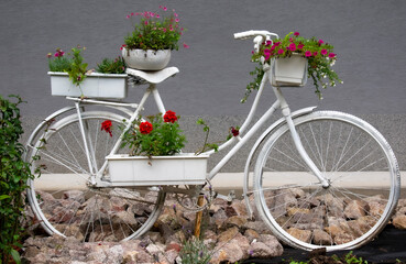 Fototapeta na wymiar White retro bicycle with flowers in the flower pots in the garden.