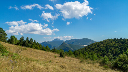 Obraz premium Panorama dal Parco Naturale della Gola della Rossa e di Frasassi zona Serra San Quirico
