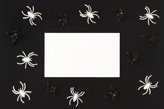 Cartoon Halloween background white paper blank with black and white spiders on black backdrop. Copy space. Flat lay style. Halloween abstract background. Dark retro black and white background.