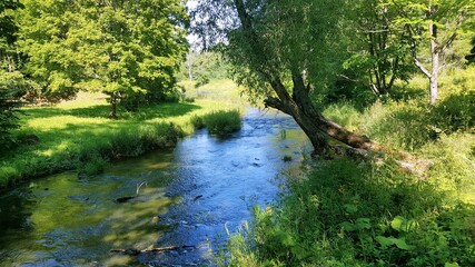 Obraz premium A fast forest river flows out of the shade and greenery of the deciduous forest towards the sunny side.
