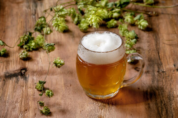 Classic glass mug of fresh cold foamy lager beer with green hop cones behind over wooden texture background. Copy space