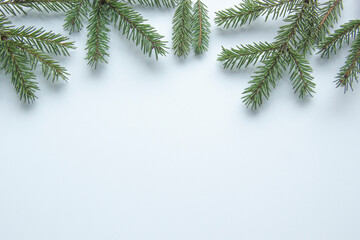 Fir branch isolated on white background. Christmas tree branches. The concept of the new year, christmas, nature.