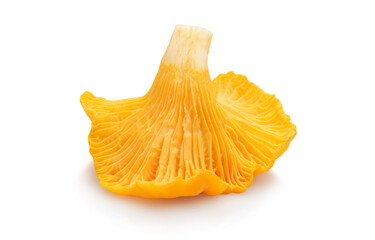 chanterelle © Bells7