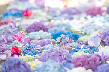 宮地嶽神社の夏の風物詩　花手水　【福岡県福津市】