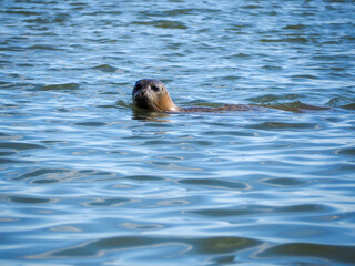 Fototapeta premium OLYMPUS DIGITAL CAMERA