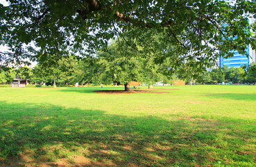 東京の公園　風景