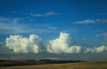 summer landscape with blue sky, clouds and wheat fields
