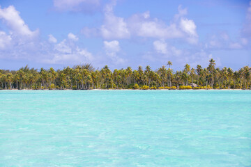 Fototapeta premium Tropical island beach paradise with beautiful turquoise water and palm tree jungle