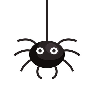 halloween, cute spider in white background vector illustration design