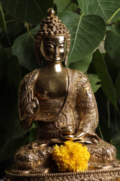 Brass sculpture of Gautam Buddha. over pipal leaves