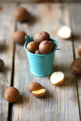 Selective focus. Macro. Small raw potatoes in a bucket. A bucket of potatoes. Baby potatoes. Rustic style. Potato harvest concept.