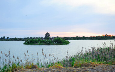 Laguna de Tarelo en el Parque Nacional de Doñana. Sanlúcar de Barrameda provincia de Cádiz España. Avistamiento de aves