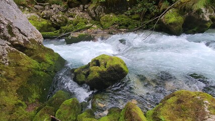 Wald Fluss Stein Gebirgsbach Steine Wildbach