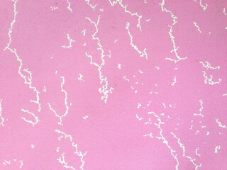 Background image background pink white stripes