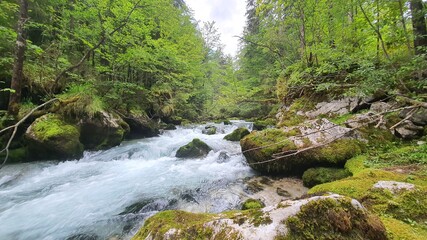 Wald Fluss Stein Gebirgsbach Steine Wildbach