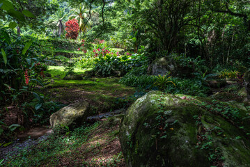 Voyage en Martinique 2020
